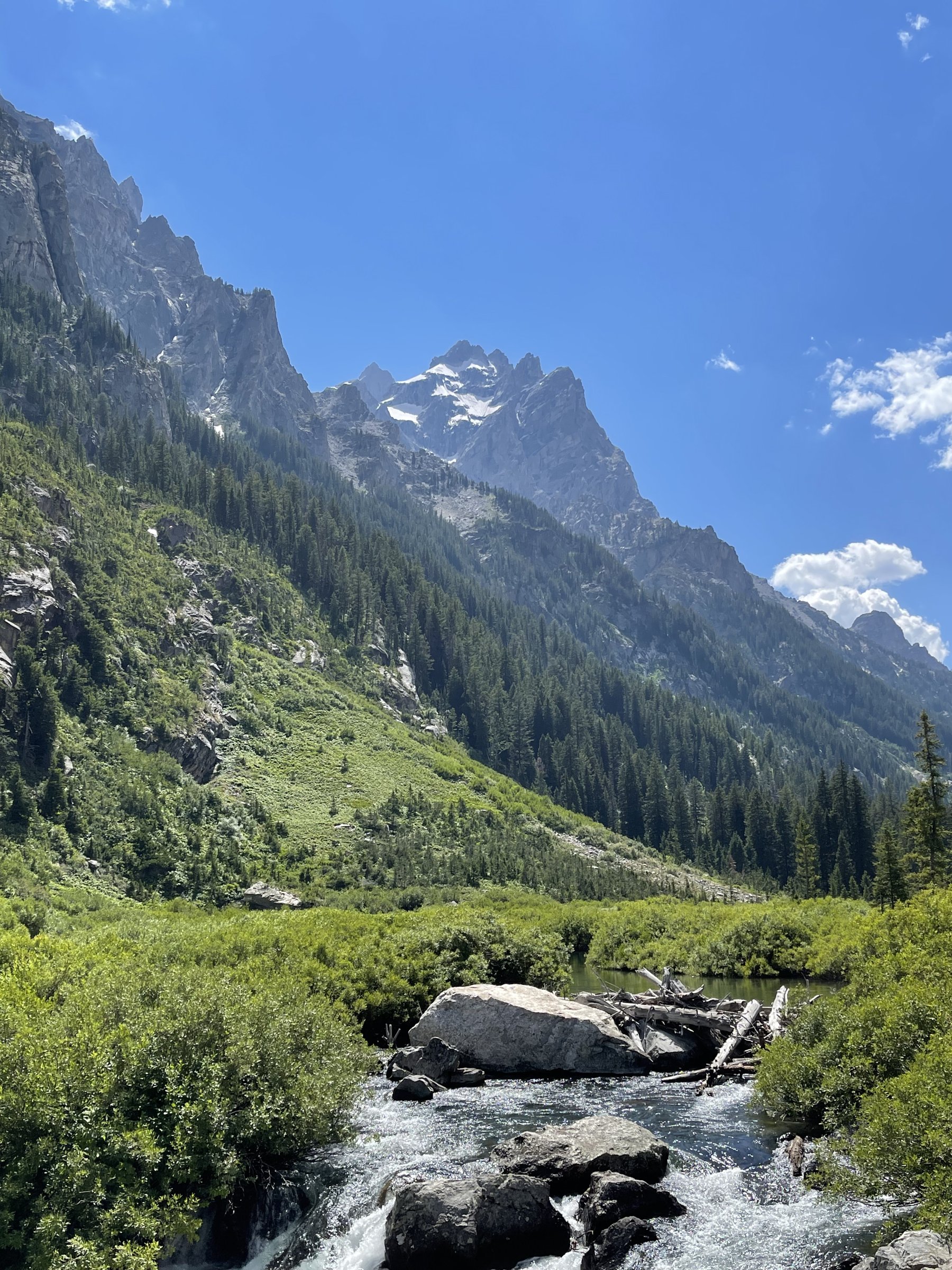 Yellowstone photo